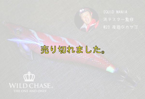 画像3: WILD CHASE 3.5号シャロー (23) 夜遊びカサゴ