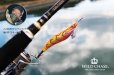 画像8: WILD CHASE 2.5号（22）GODシュリンプオレンジ
