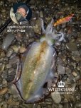 画像5: WILD CHASE 2.5号（22）GODシュリンプオレンジ