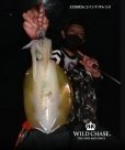 画像9: WILD CHASE 2.5号（22）GODシュリンプオレンジ