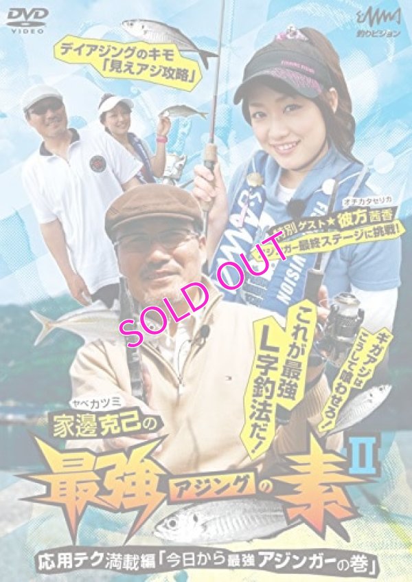 画像1: 家邊克己の最強アジングの素 2