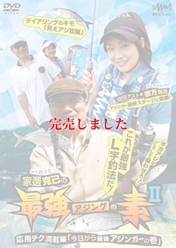画像1: 家邊克己の最強アジングの素 2