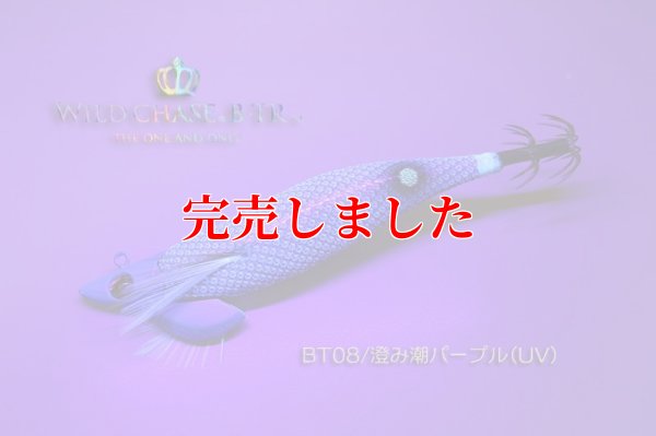 画像4: RT3.5号 30ｇB-TR (BT08)澄み潮パープル(UV)