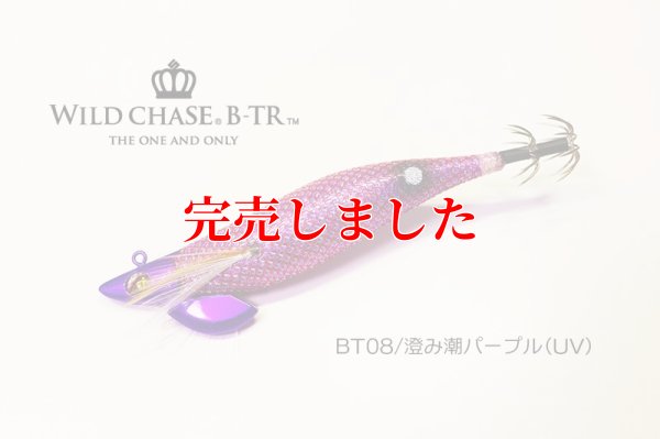 画像2: RT3.5号 30ｇB-TR (BT08)澄み潮パープル(UV)