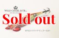TIPRUN/B-TR 2.5号 15ｇBT02パパイヤマンゴーUV
