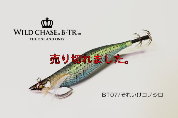 画像1: WILD CHASE/B-TR 3.0号 25ｇ/BT07/それいけコノシロ(UV)