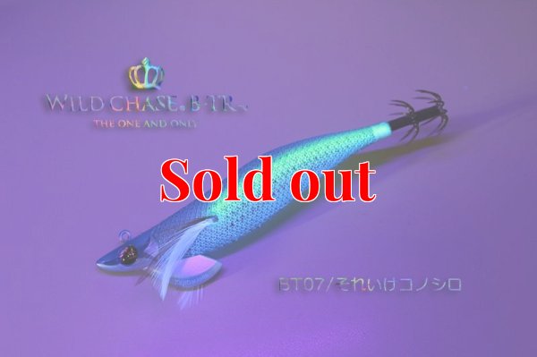 画像3: TIPRUN/B-TR 3.0号 25ｇBT07それいけコノシロ(UV)