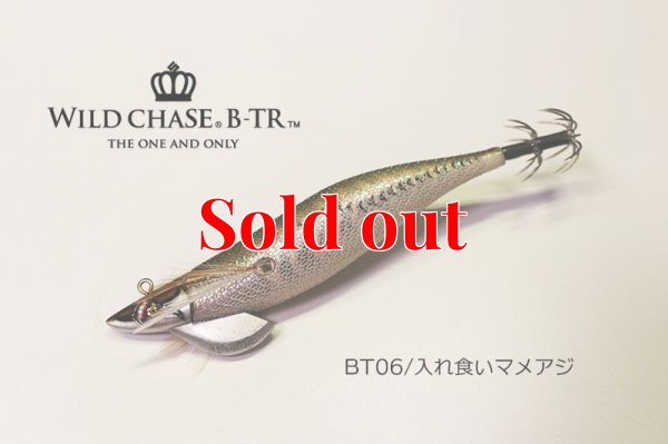 画像1: TIPRUN/B-TR 2.5号 15ｇBT06入れ食いマメアジ