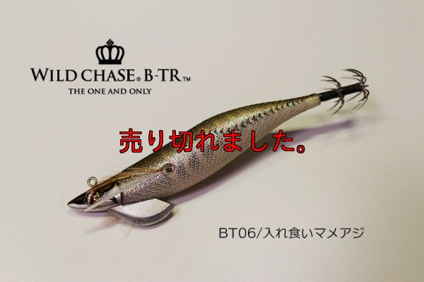 画像1: WILD CHASE/B-TR 3.5号 30ｇRT/BT06/入れ食いマメアジ
