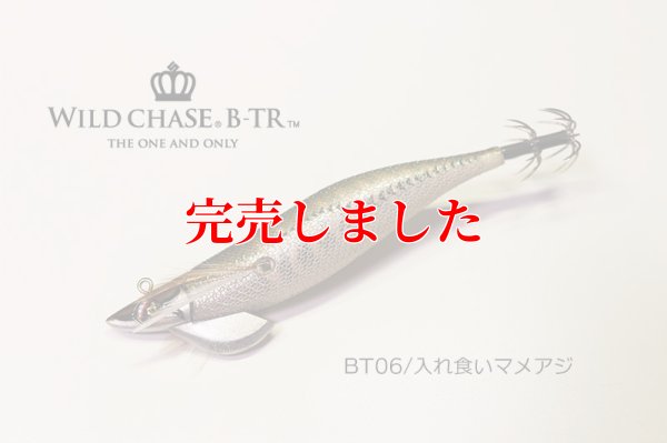 画像2: 3.0号 25ｇB-TR (BT06)入れ食いマメアジ