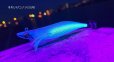 画像2: WILD CHASE/B-TR 2.5号 15ｇ/BT07/それいけコノシロ(UV) (2)
