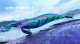 ウェーブハンター 3.5号SS(21) God Shrimp ブルー