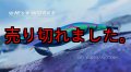 WILD CHASE 2.5号（21） GODシュリンプブルー