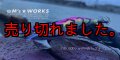 WILD CHASE 2.5号（19）GODシュリンプパープル