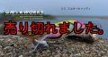WILD CHASE 2.5号（17）ミルキーキャンディ