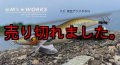 WILD CHASE 3.5号RT （12）茶豆アジメタホロ