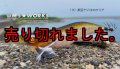 WILD CHASE 2.5号（15）茶豆アジ/ホロクリア