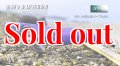 WILD CHASE 3.5号ラトル (30) たまたまパープル