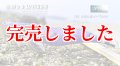 3.5号RT (30) たまたまパープル
