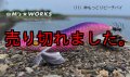 WILD CHASE 3.5号RT （11）神もっこりピーチパイ