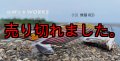WILD CHASE 3.5号RT （13）無限RED