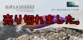 ウェーブハンター 3.5号SS （37）メロメロチェリーパイUV