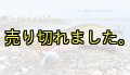 WILD CHASE 3.5号ラトル (15)茶豆アジ/ホロクリア