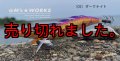 WILD CHASE  3.5号シャロー（05）ダークナイト