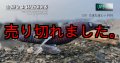 WILD CHASE 3.5号 RT (31) たまたまレッド