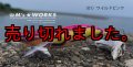 WILD CHASE  3.5号シャロー（01）ワイルドピンク