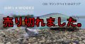 WILD CHASE 2.5号（16）マジックベイト/ホロクリア