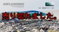 WILD CHASE 3.5号RT （40） 即抱きグリーンUV