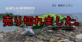 WILD CHASE 3.5号RT （03）県南キュウリ