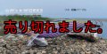 WILD CHASE  3.5号シャロー（14）胡蝶パープル