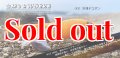WILD CHASE  3.5号シャロー (43) 冷凍デコポン (オレンジ）