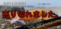 WILD CHASE  3.5号シャロー（43）冷凍デコポン