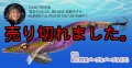 WILD CHASE 3.5号RT（53）RG/閃光パープルパープル (UV)
