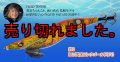 WILD CHASE 3.5号RT（52）RG/閃光ピンクゴールド (UV)
