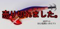 WILD CHASE/B-TR 3.5号 30ｇ/BT14/RG/覚聖レッド(UV)