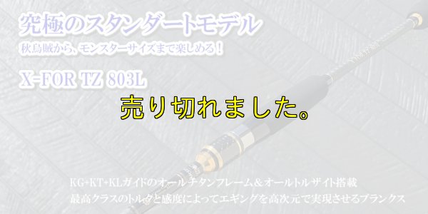 画像8: ZERO-G EVOLUTION X-FOR TZ 803L BLACK