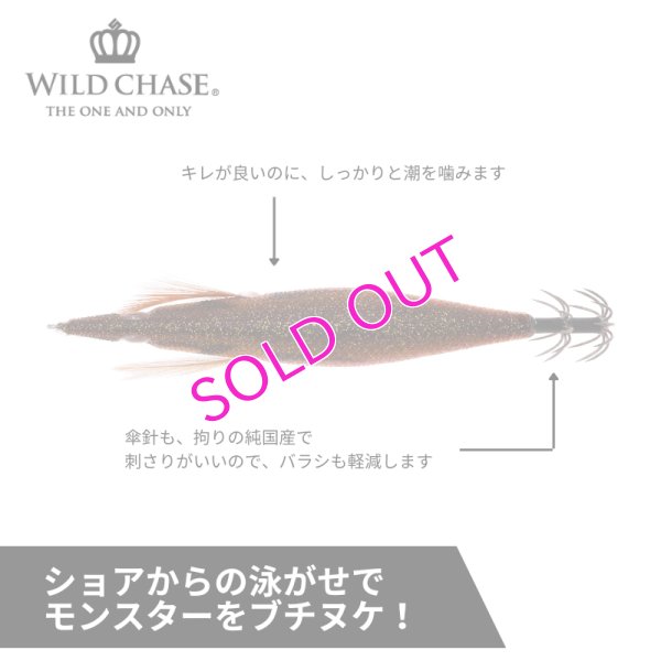 画像3: WILD CHASE 3.5号RT#60RG/アジ泳がせ/プレミアブラウン(UV)