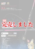 ZERO-G EVOLUTION 706 MOON STONE MX BORON（MLM）