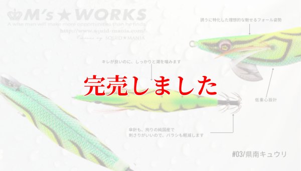 画像3: 3.0号 (03）県南キュウリ