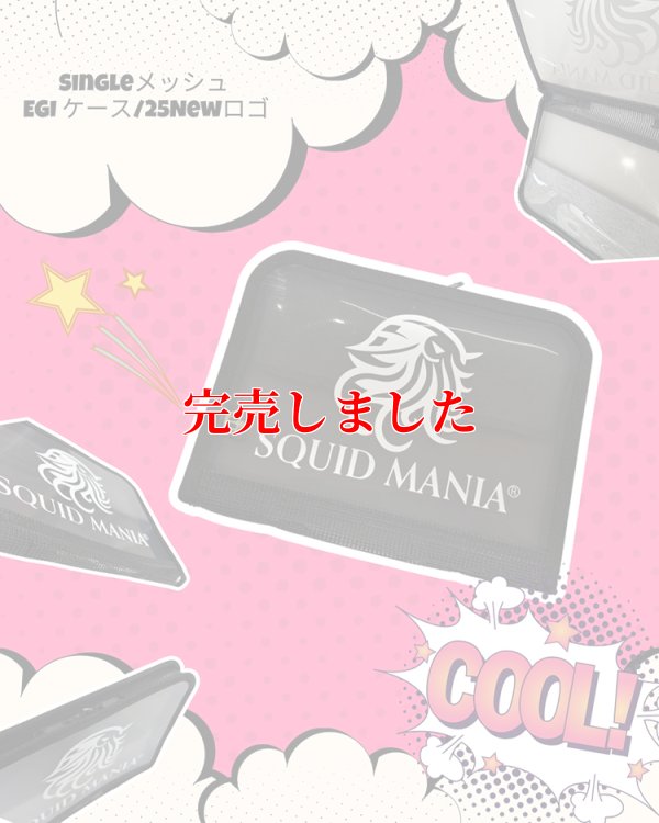 画像1: EGI ケース シングルメッシュS10/ 25NEWロゴ 