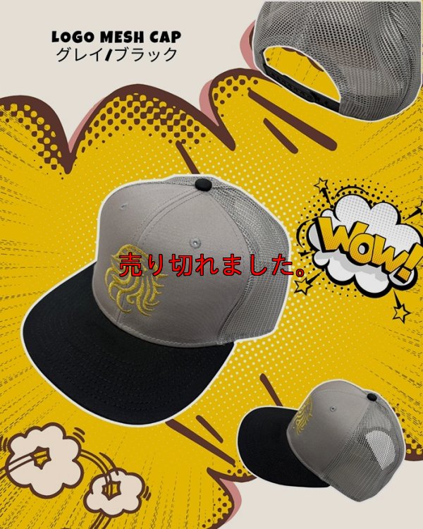 画像1: 2025 New ロゴメッシュキャップ /グレイBLACK