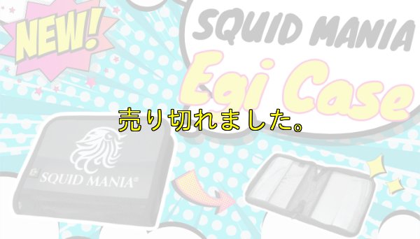 画像1: NEWロゴ / W20メッシュ EGI ケース  