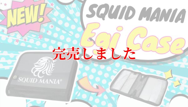 画像1: NEWロゴ / W20メッシュ EGI ケース  