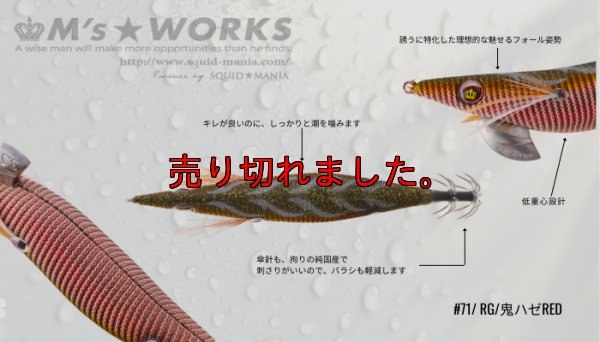 画像2: ウェーブハンター 3.5号SS / 71 RG/鬼ハゼRED
