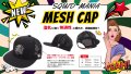 ハイ・ブリザテック ハーフメッシュCAP (Newロゴガンメタ)