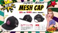 ハイ・ブリザテック ハーフメッシュCAP (NewロゴPINK)